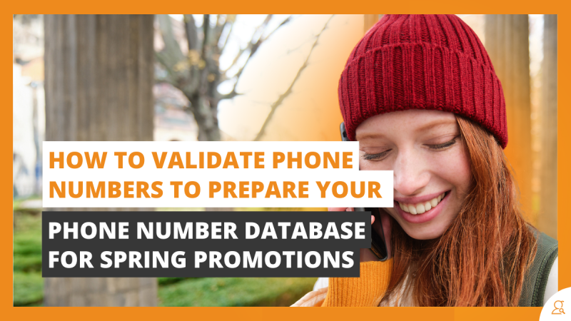 How to Validate Phone Numbers to Prepare Your Phone Number Database for Spring Promotions