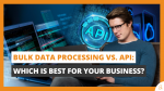 Bulk Data Processing vs. API Which Is Best for Your Business