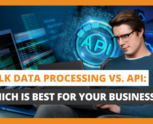 Bulk Data Processing vs. API Which Is Best for Your Business